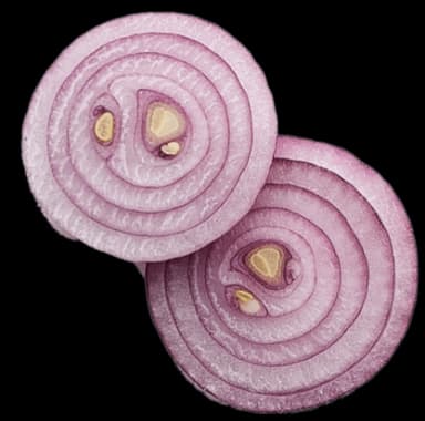 sliced onions